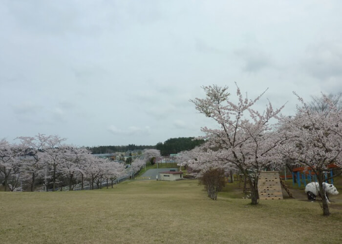 ひばり野公園