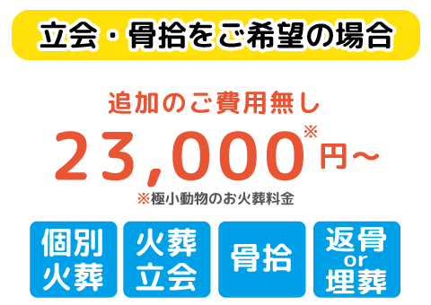 立会個別ペット火葬プラン