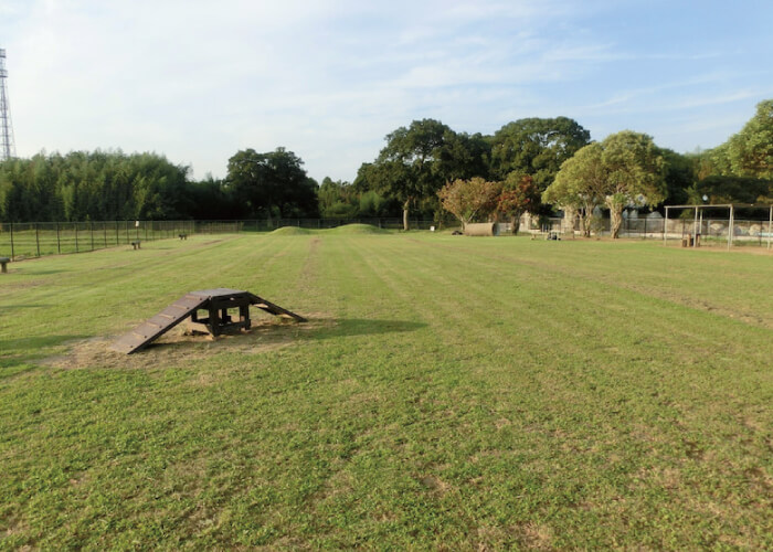 百目木公園ドッグラン