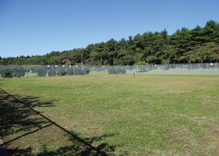 青葉の森公園