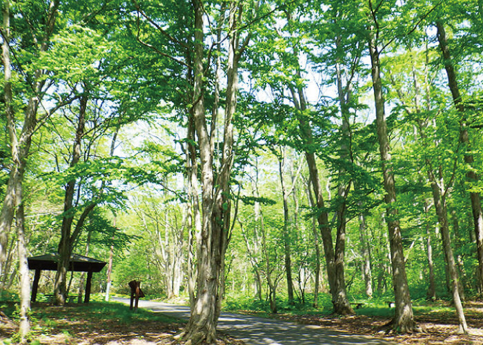 四季の杜公園