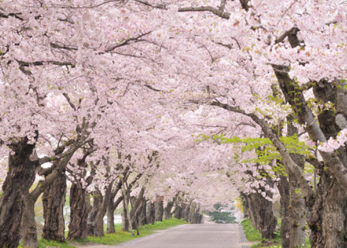 松前藩戸切地陣屋跡