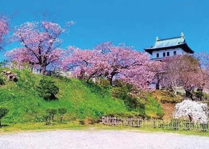 松前公園