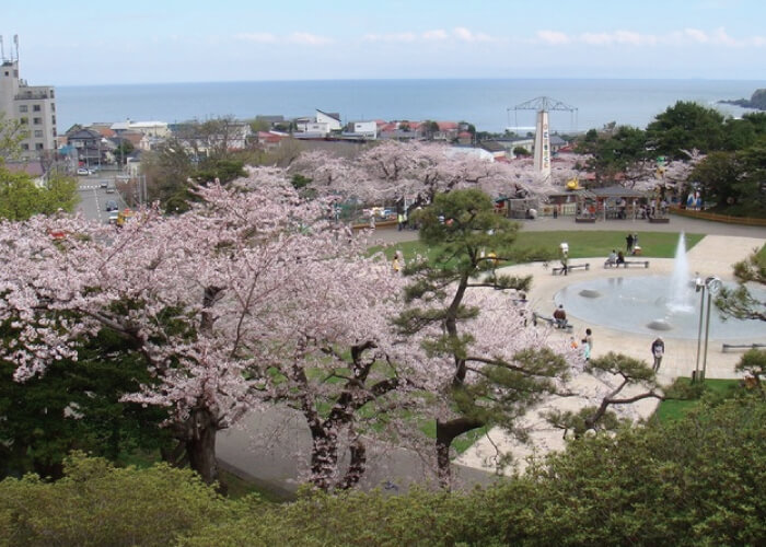 函館公園