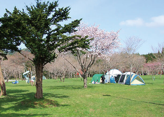 長万部公園