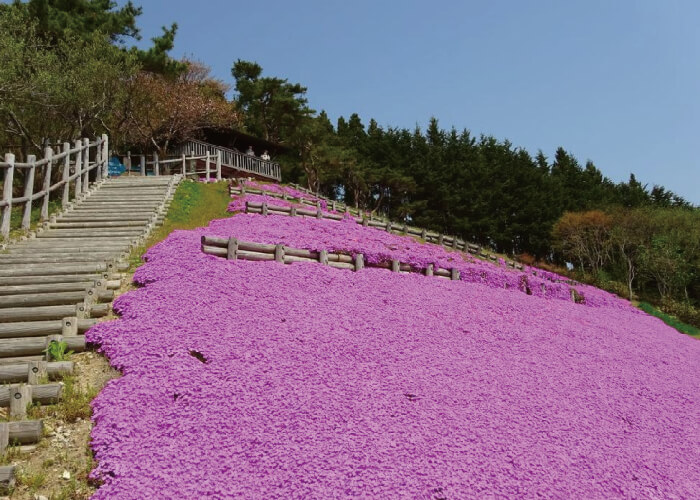 薬師山ふるさとの森