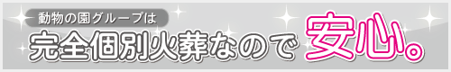 SʉΑ