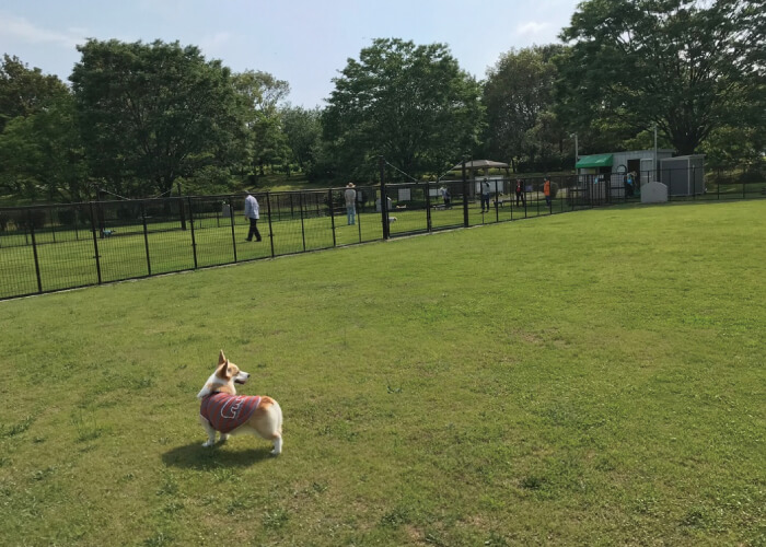 木場潟公園ドッグラン