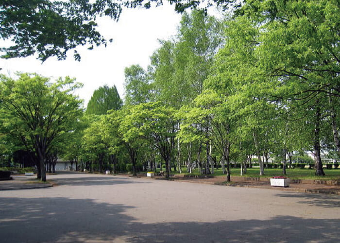 水沢公園