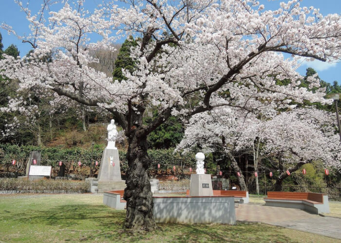 薬師公園