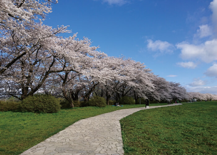 北上市立公園展勝地