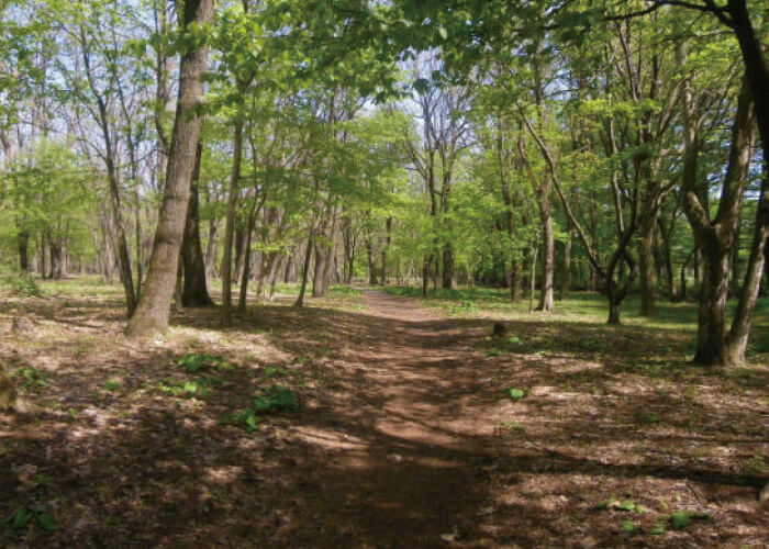 滝沢森林公園