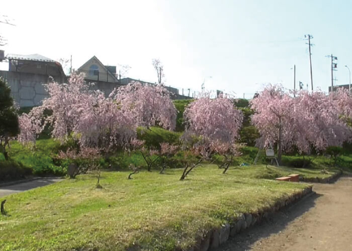 馬淵川公園