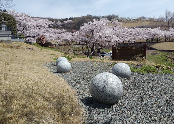 長岡寺