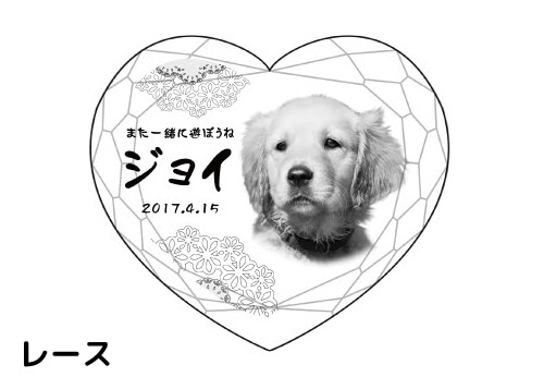 バリエーション-レース