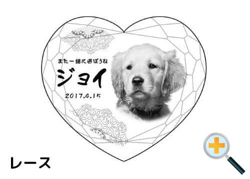 バリエーション-レース