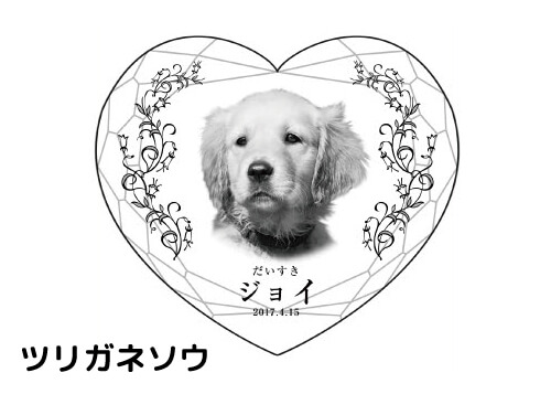 バリエーション-ツリガネソウ