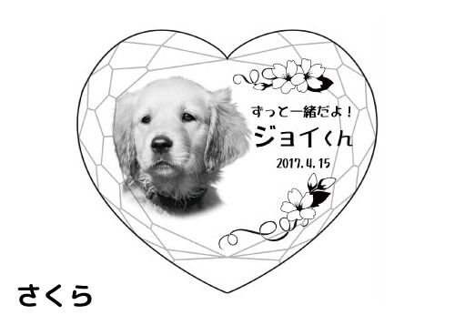 バリエーション-さくら