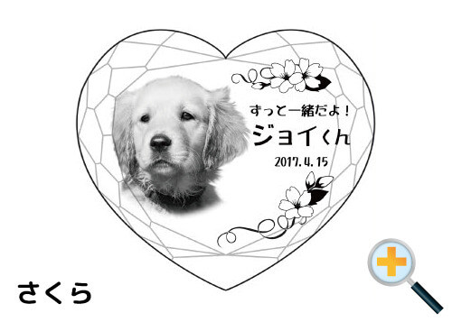 バリエーション-さくら