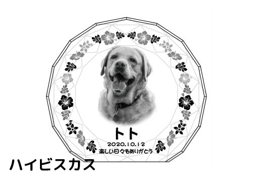 バリエーション-ハイビスカス