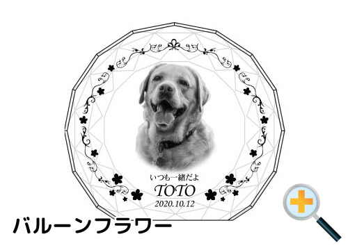 バリエーション-バルーンフラワー