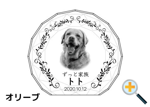 バリエーション-オリーブ