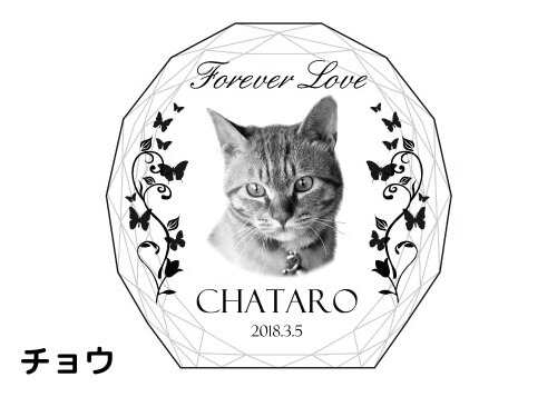 バリエーション-チョウ