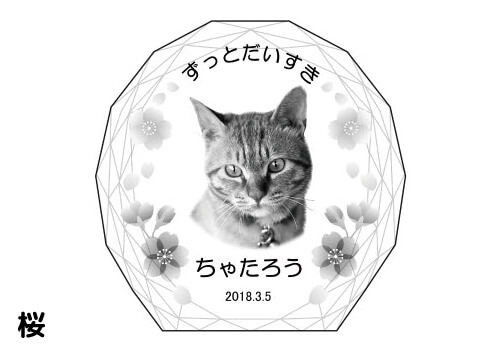 バリエーション-桜