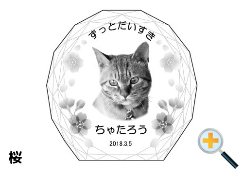 バリエーション-桜