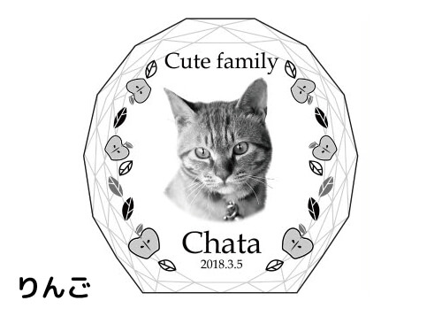 バリエーション-オリーブ