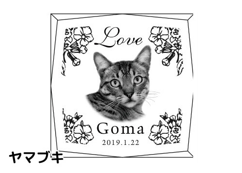 バリエーション-ヤマブキ