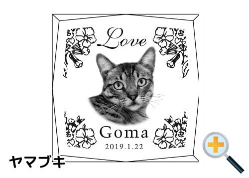 バリエーション-ヤマブキ