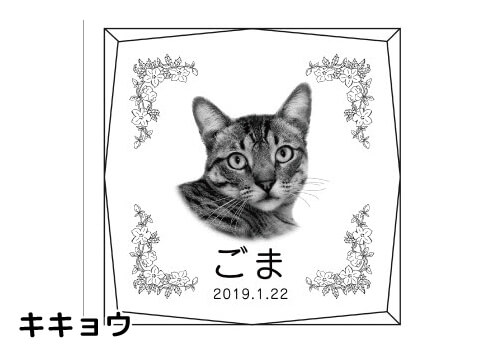 バリエーション-キキョウ