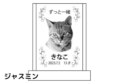 バリエーション-ジャスミン