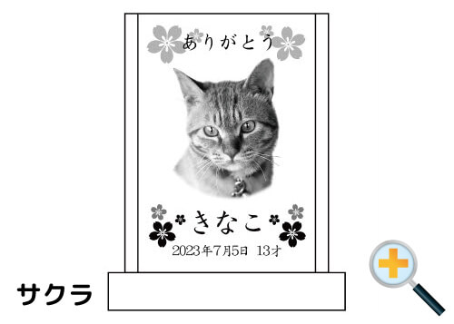 バリエーション-サクラ