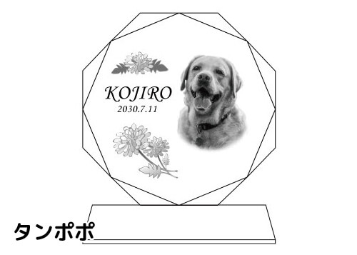 バリエーション-タンポポ