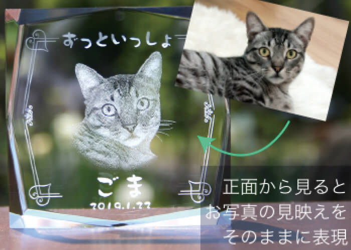 3D加工-正面イメージ