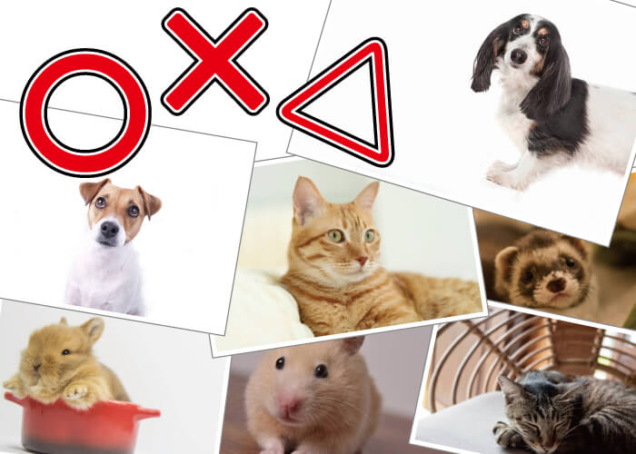 画像選びの注意事項