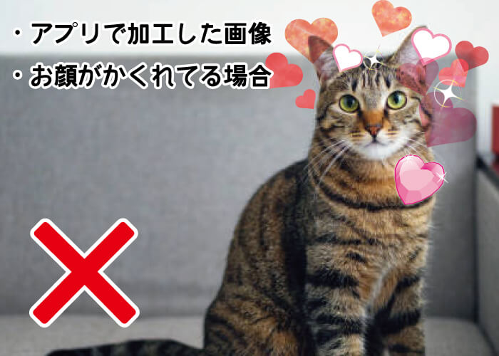 アプリで加工した画像