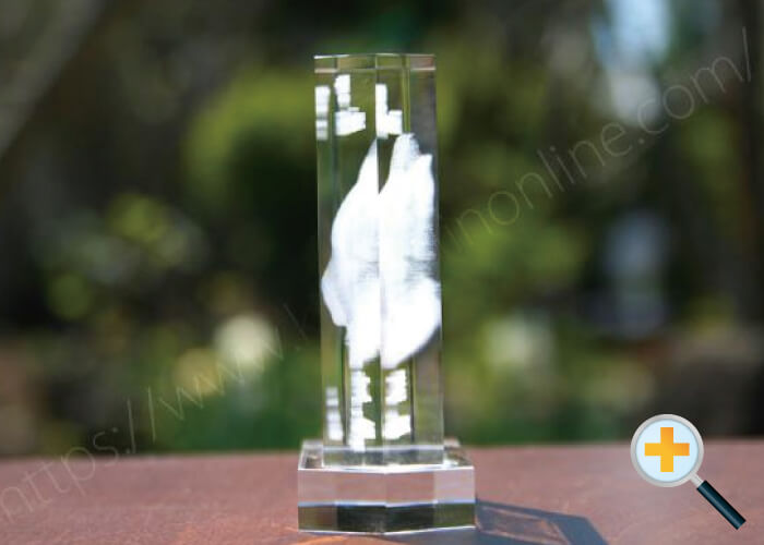 側面ト-３Ｄミニ