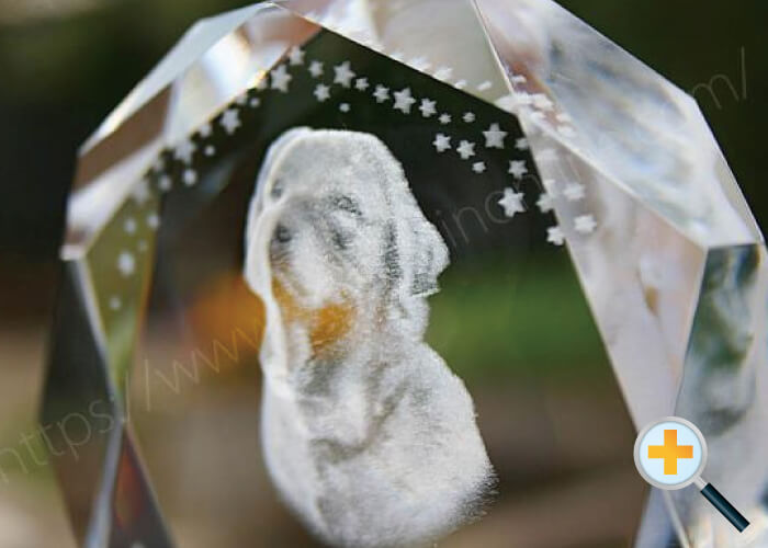 側面ト-３Ｄメモリアルスタンド