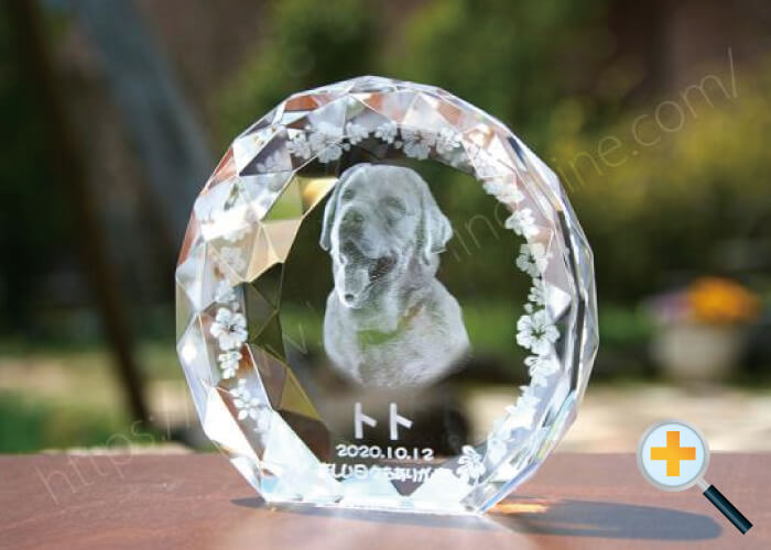 側面ト-３Ｄサークルダイヤスタンド