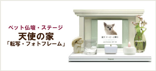 天使の家