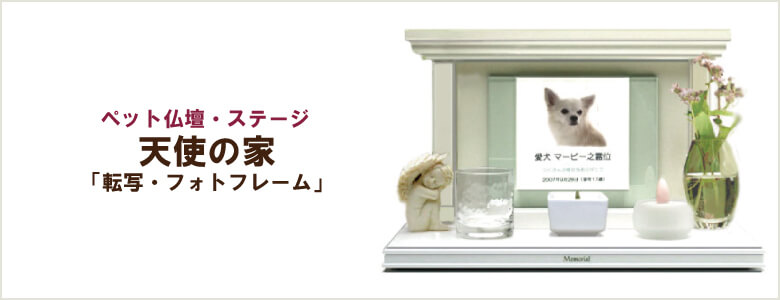 天使の家