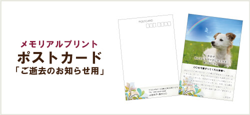 ポストカード(ご逝去のお知らせ用)