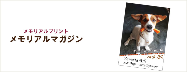 メモリアルマガジン