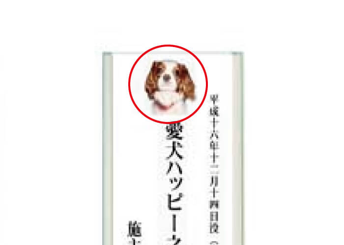 写真プリント-ホワイトクリスタル位牌
