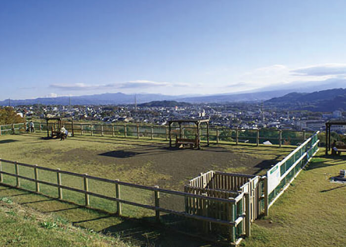 飯綱山公園ドッグラン