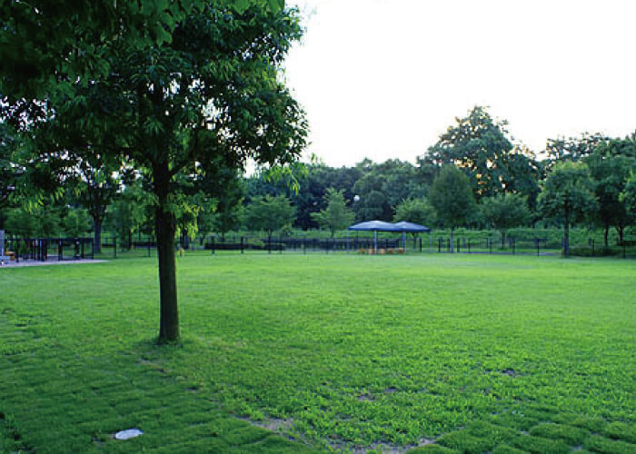 川越水上公園ドッグラン