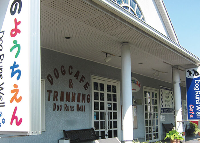 DogRuns Well